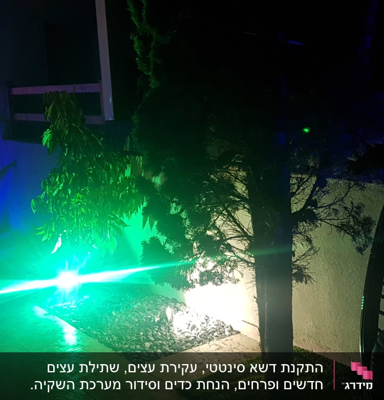 תאורת גינה צבעונית על צמחים ועצים